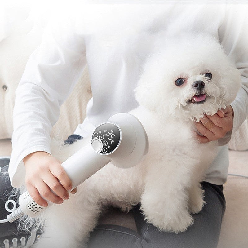PetBreeze Smart Dryer – Silent Drying for Happy Pets