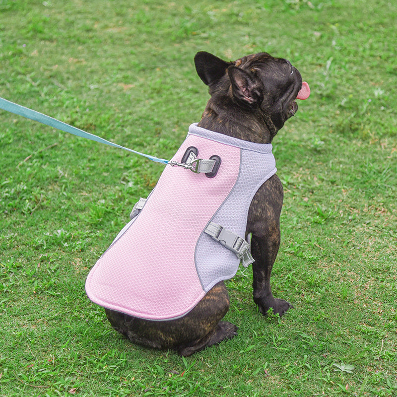 SummerCool Pet Vest – Stay Comfy, Active, and Chill