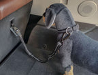 TravelSafe Dog Seat Belt – Reflective, Adjustable &amp; Reliable