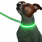 LED Glow Pet Collar – Waterproof Nylon Mesh, Type-C Rechargeable & Durable