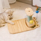 PurrChase Maze Toy – Scratch, Spin, and Play Together!