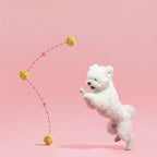 Dog Cartoon Squeaky Balls – Teeth Cleaning & Chew Toy for Healthy, Happy Pets