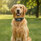 Smart Bark Stop Collar – Rechargeable, Waterproof, Easy Control